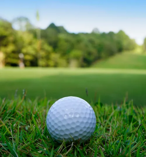 A close-up of a golf ball resting on green grass with a blurred golf course near Torch Lake and trees in the background under a clear blue sky, perfect for guests at a local bed and breakfast.